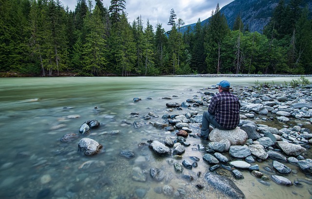 Person contemplating a scenic view, symbolizing personal growth and introspection.
